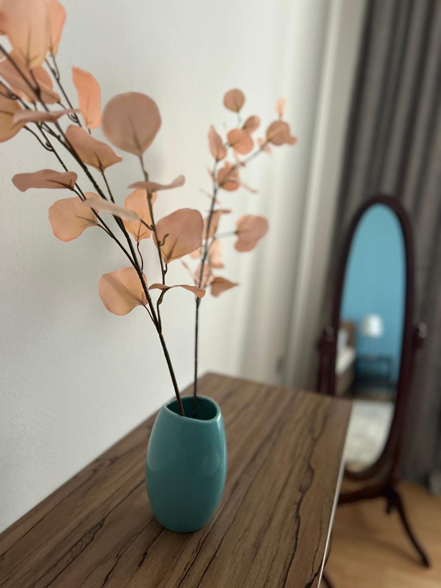 Apartman Tara Subotica Zewnętrze zdjęcie