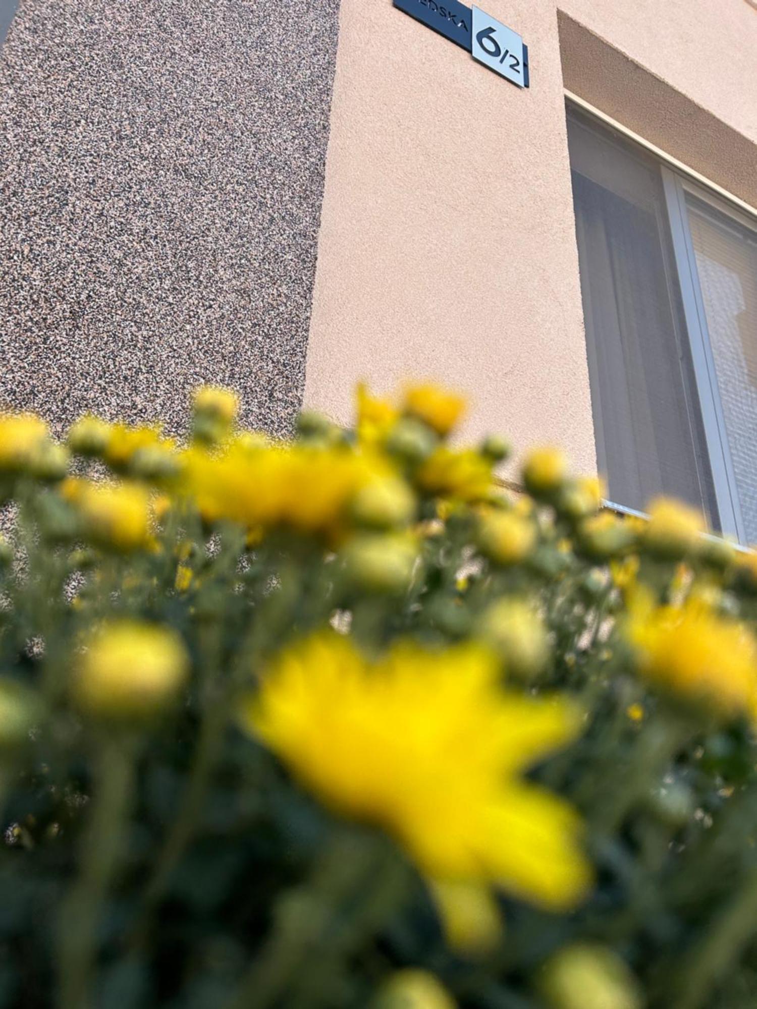 Apartman Tara Subotica Zewnętrze zdjęcie