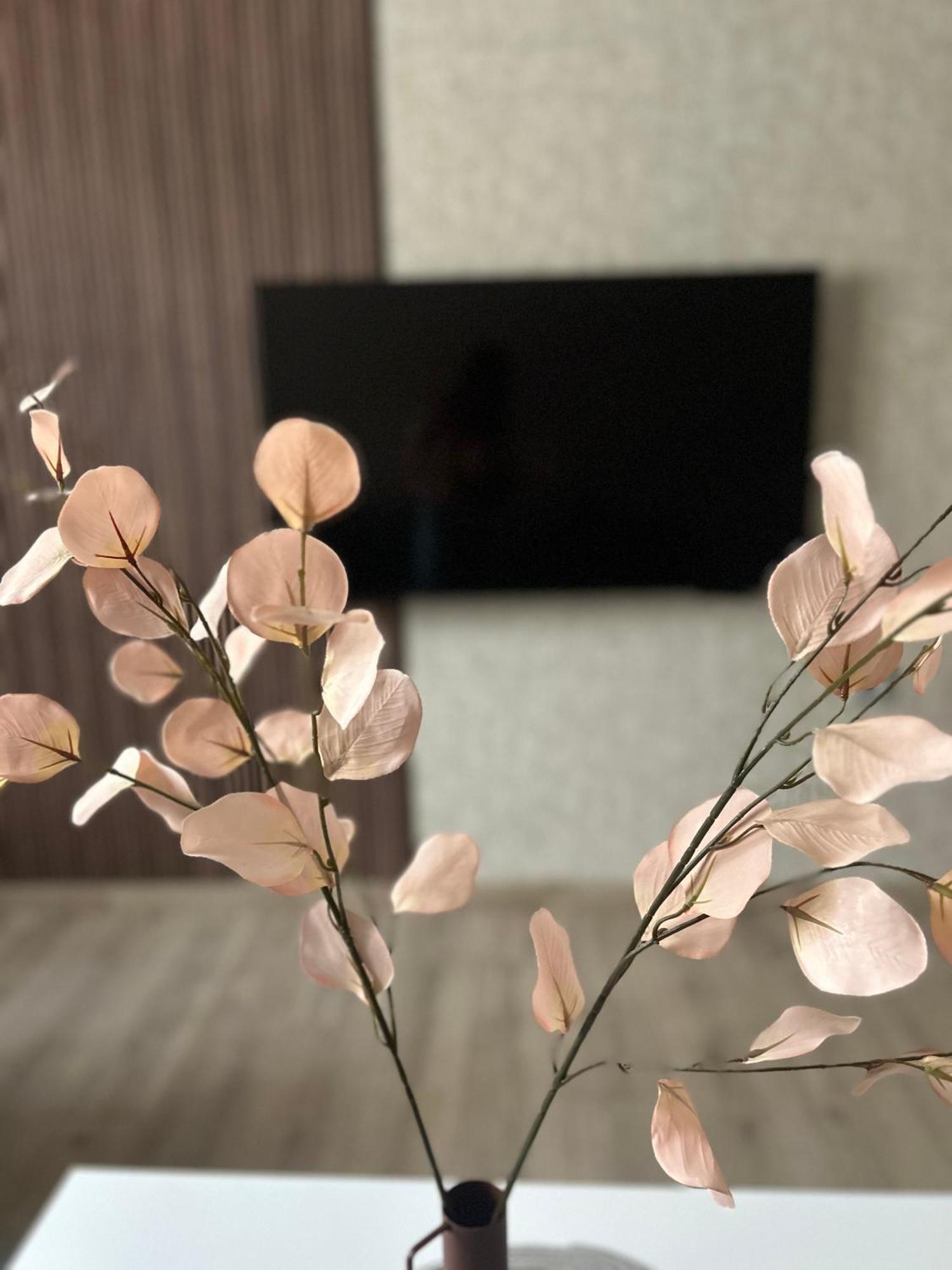 Apartman Tara Subotica Zewnętrze zdjęcie